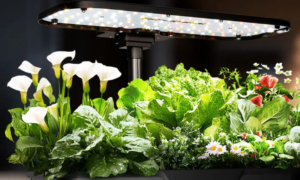 GGS Grow Room Controller: One Hub for Light, Air, Humidity & Temp